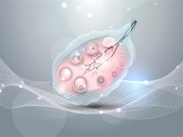 2025年单身男士在马来西亚做试管婴儿全流程详解与全新要求解读